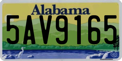 AL license plate 5AV9165
