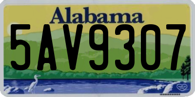 AL license plate 5AV9307