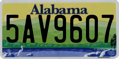 AL license plate 5AV9607