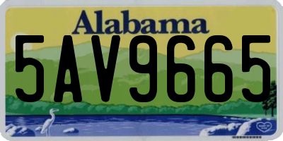AL license plate 5AV9665