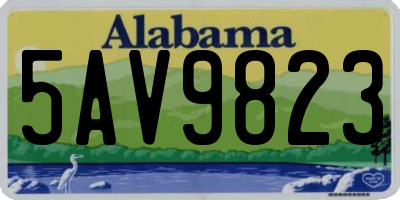 AL license plate 5AV9823