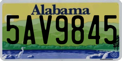AL license plate 5AV9845