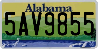 AL license plate 5AV9855