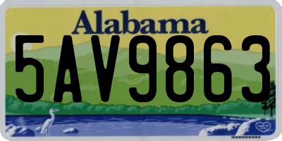 AL license plate 5AV9863