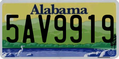 AL license plate 5AV9919