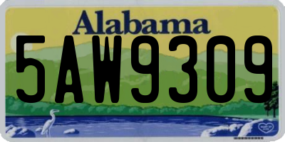 AL license plate 5AW9309