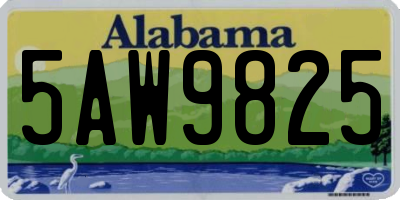 AL license plate 5AW9825