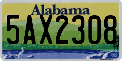 AL license plate 5AX2308