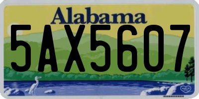 AL license plate 5AX5607