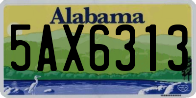 AL license plate 5AX6313
