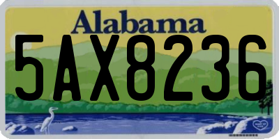 AL license plate 5AX8236