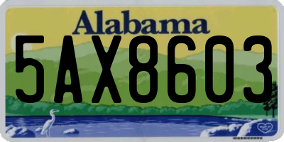 AL license plate 5AX8603