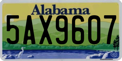AL license plate 5AX9607