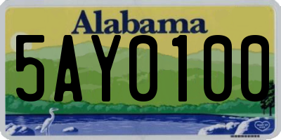 AL license plate 5AY0100