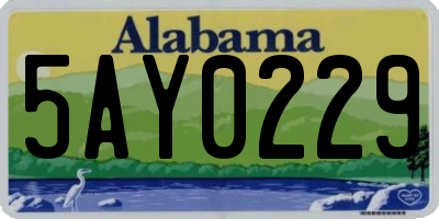 AL license plate 5AY0229