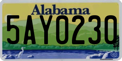AL license plate 5AY0230