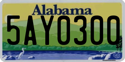 AL license plate 5AY0300
