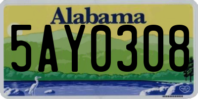 AL license plate 5AY0308