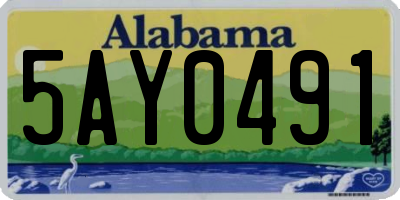 AL license plate 5AY0491