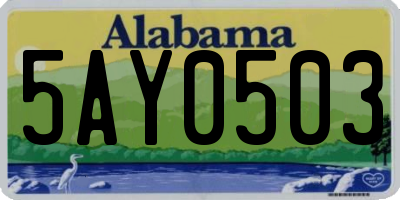AL license plate 5AY0503