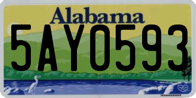 AL license plate 5AY0593