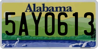 AL license plate 5AY0613