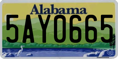 AL license plate 5AY0665