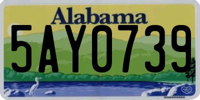 AL license plate 5AY0739