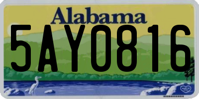 AL license plate 5AY0816