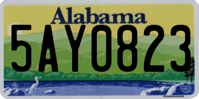 AL license plate 5AY0823