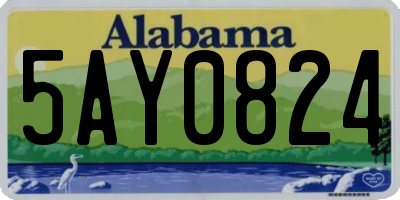 AL license plate 5AY0824