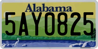 AL license plate 5AY0825