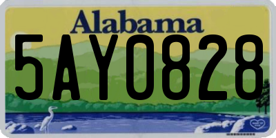 AL license plate 5AY0828