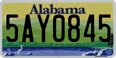 AL license plate 5AY0845