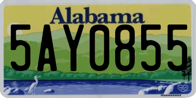 AL license plate 5AY0855