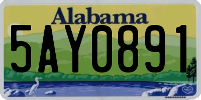 AL license plate 5AY0891