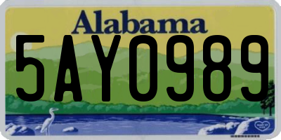 AL license plate 5AY0989