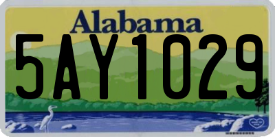 AL license plate 5AY1029