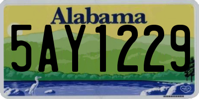 AL license plate 5AY1229