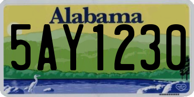 AL license plate 5AY1230