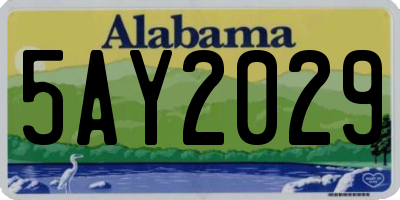 AL license plate 5AY2029