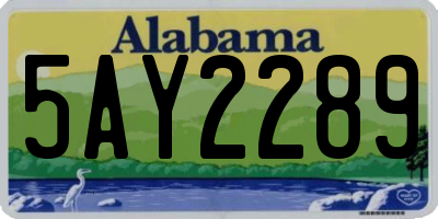 AL license plate 5AY2289