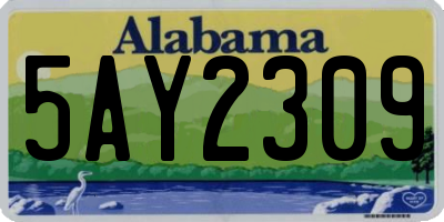 AL license plate 5AY2309