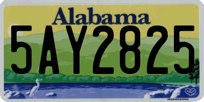 AL license plate 5AY2825