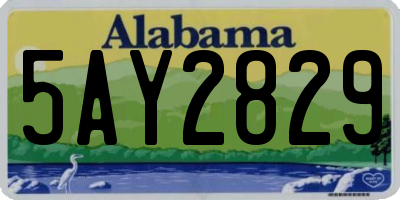 AL license plate 5AY2829