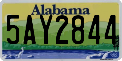 AL license plate 5AY2844