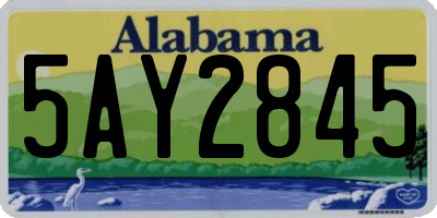 AL license plate 5AY2845