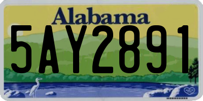 AL license plate 5AY2891