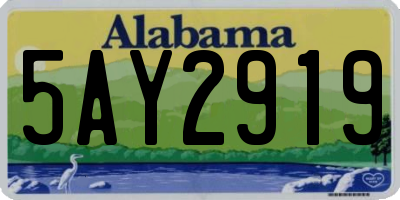 AL license plate 5AY2919