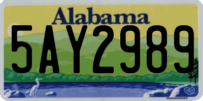 AL license plate 5AY2989